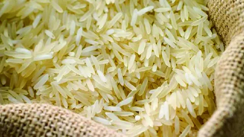 قیمت خرید برنج هاشمی آمل + فروش ویژه